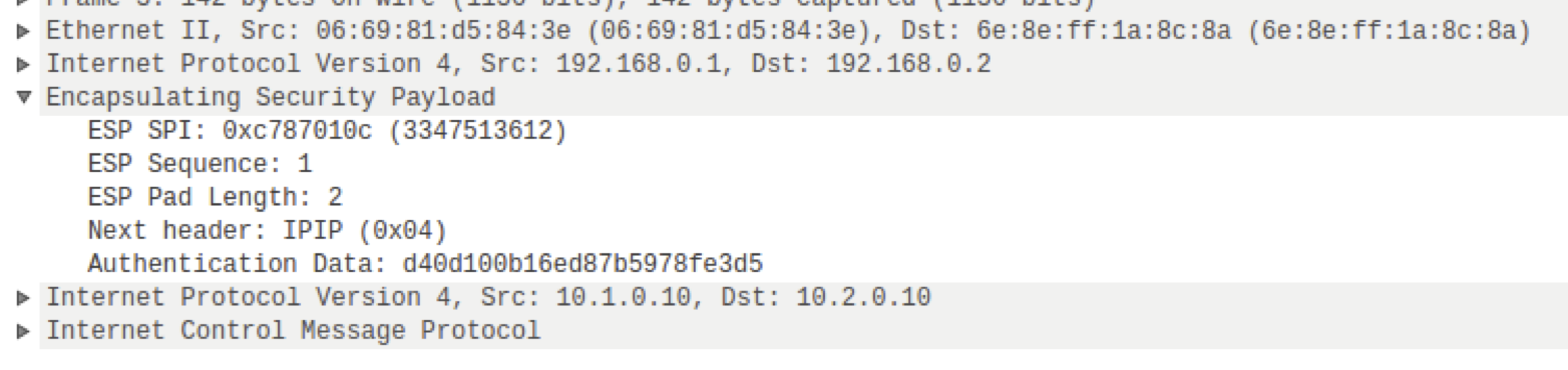 ICMP echo reply, esp=null<span
data-label="fig:icmp-rep-null"></span>