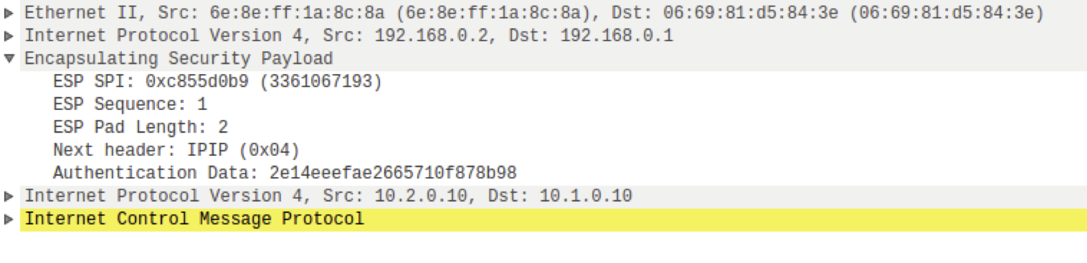 ICMP echo request, esp=null<span
data-label="fig:icmp-req-null"></span>